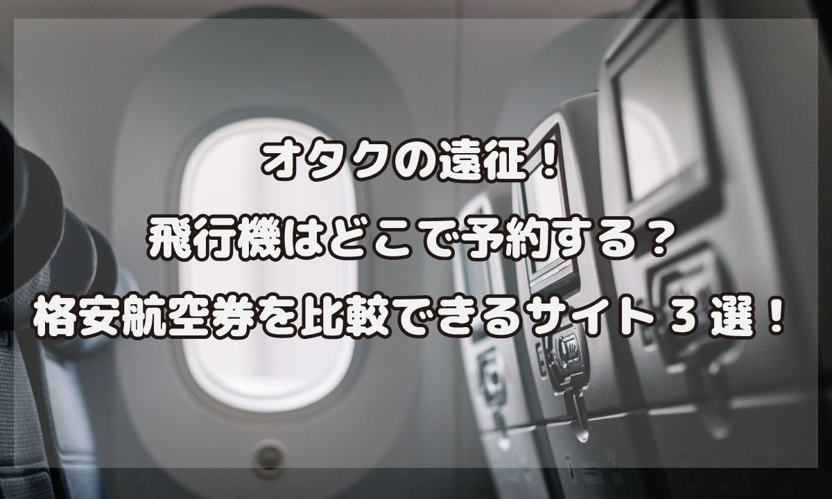 遠征の飛行機予約